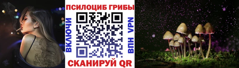 Галлюциногенные грибы MAGIC MUSHROOMS купить Прохладный
