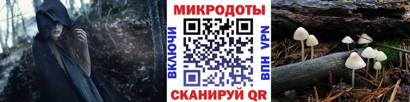 Галлюциногенные грибы Psilocybe Прохладный